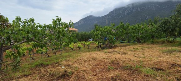 Terrain à Corfu, Greece 4444m² No. 93233 12