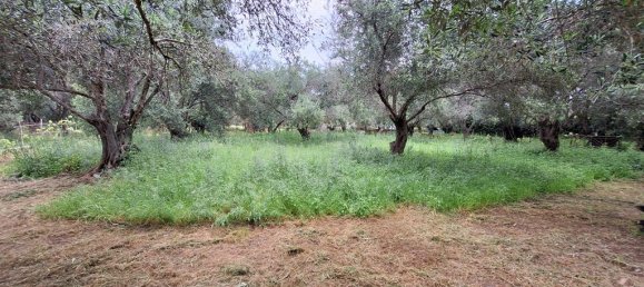 Terrain à Corfu, Greece 4444m² No. 93233 7