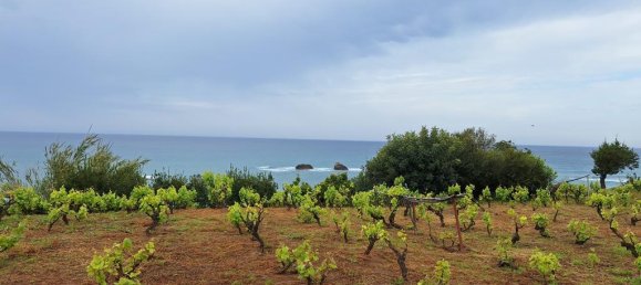 Terrain à Corfu, Greece 4444m² No. 93233 16