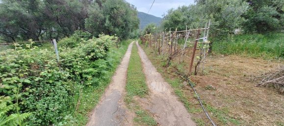 Terrain à Corfu, Greece 4444m² No. 93233 3