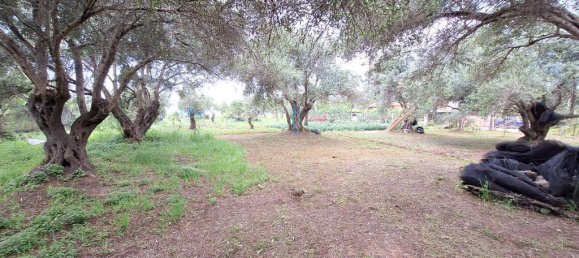 Terrain à Corfu, Greece 4444m² No. 93233 8