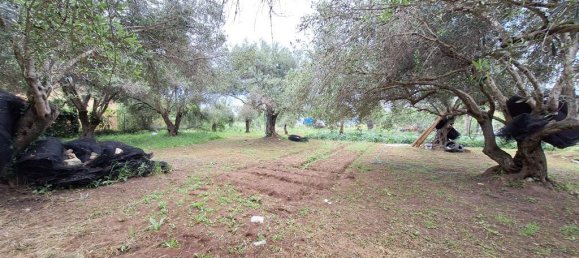 Terrain à Corfu, Greece 4444m² No. 93233 5