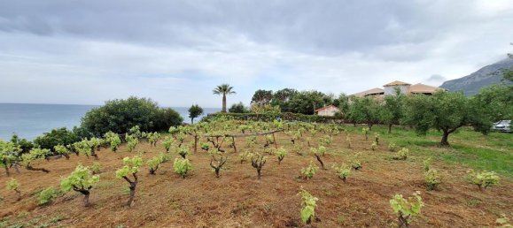 Terrain à Corfu, Greece 4444m² No. 93233 14