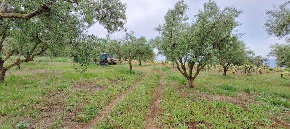 Terrain à Corfu, Greece 4444m² No. 93233 6