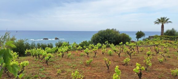 Terrain à Corfu, Greece 4444m² No. 93233 11