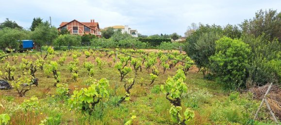 Terrain à Corfu, Greece 4444m² No. 93233 17