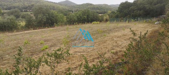  Land in Palamos, Spain No. 191152 3