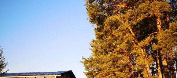 2 bedrooms Castles in Brandenburg, Germany No. 22210 4