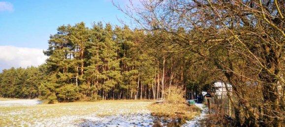 2 bedrooms Castles in Brandenburg, Germany No. 22210 39