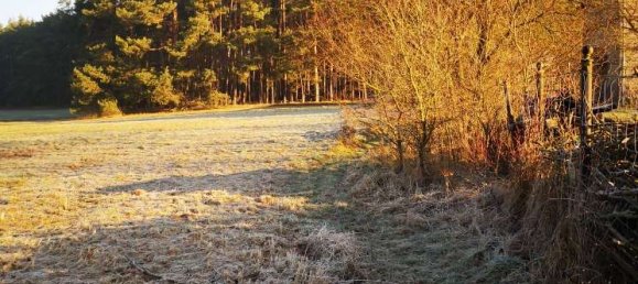 2 bedrooms Castles in Brandenburg, Germany No. 22210 6