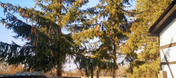 2 bedrooms Castles in Brandenburg, Germany No. 22210 10