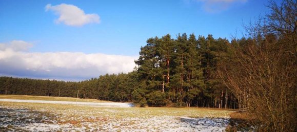 2 bedrooms Castles in Brandenburg, Germany No. 22210 14