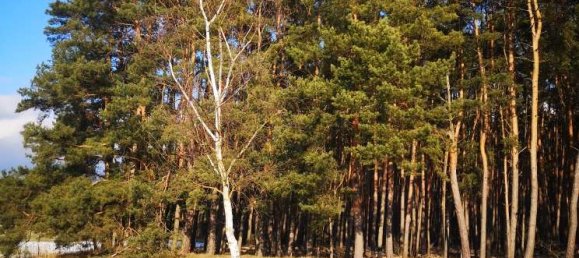 2 bedrooms Castles in Brandenburg, Germany No. 22210 37