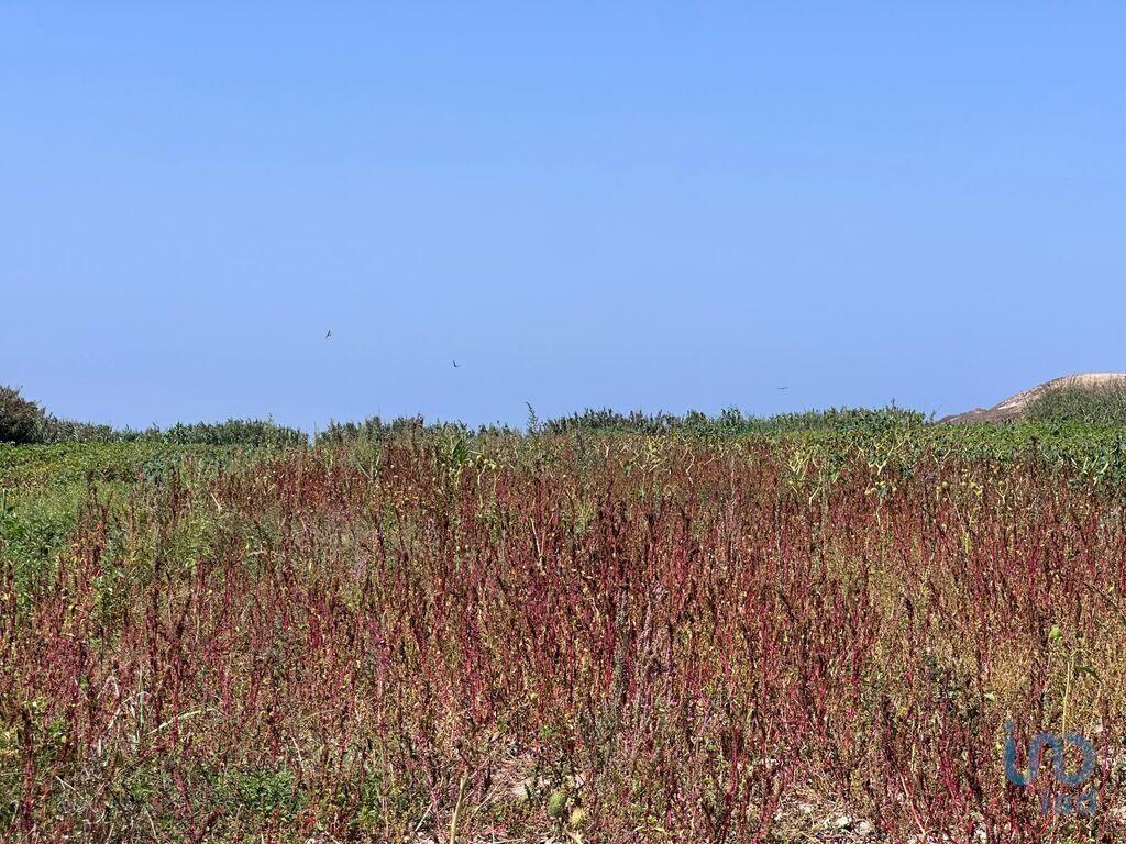 3800m² Land in Ferrel, Portugal No. 265706