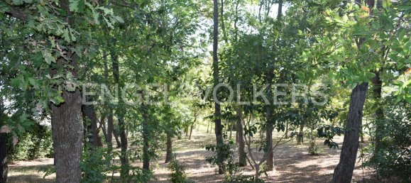 3 bedrooms Villa in Senigallia, Italy No. 176925 17