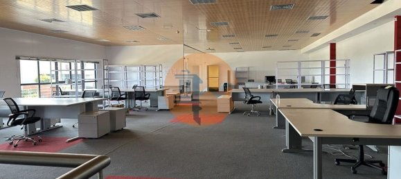 Lagerhaus in Quelfes, Portugal 4796m², Nr. 242476 6