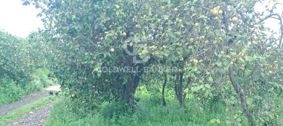 8050m² Land in Acireale, Italy No. 46308 4