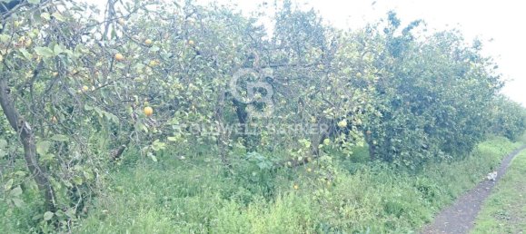 8050m² Land in Acireale, Italy No. 46308 3