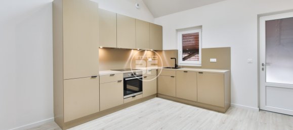 2 غرف نوم منزل ذو طابقين في Buschwiller, France رقم 228753 2