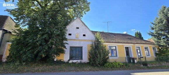 Casa de 5 habitaciónes en Schrattenthal, Austria No. 250728 36