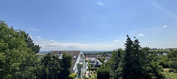 3 bedrooms Apartment in Main-Taunus, Germany No. 152740 8