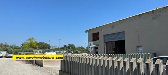 700m² Warehouse in Pineto, Italy No. 124954 7