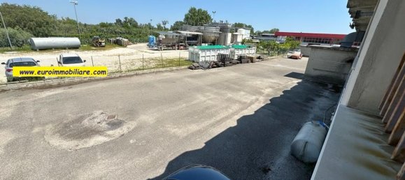 700m² Warehouse in Pineto, Italy No. 124954 16