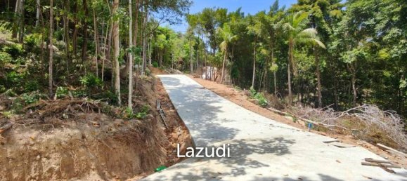 Gewerbliche Immobilie in Surat Thani, Thailand, Nr. 24793 2