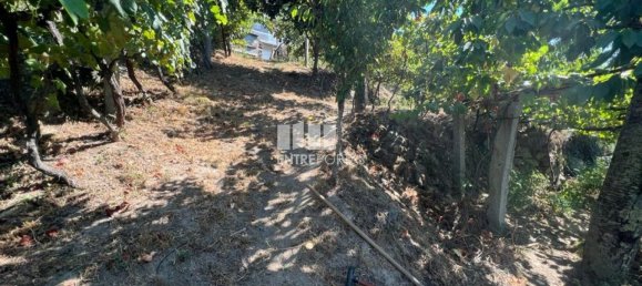 1350m² Land in Marco de Canaveses, Portugal No. 55949 28