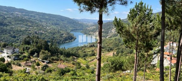 1350m² Land in Marco de Canaveses, Portugal No. 55949 12