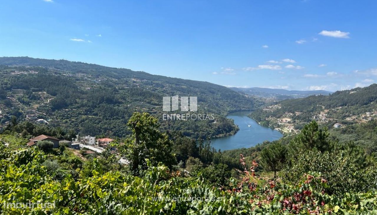 1350m² Land in Marco de Canaveses, Portugal No. 55949