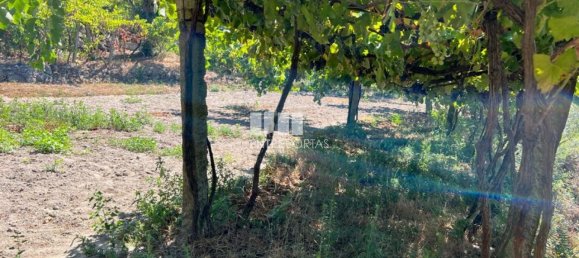 1350m² Land in Marco de Canaveses, Portugal No. 55949 20