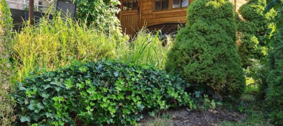 Edificio de 4 dormitorios en Chemnitz, Germany No. 45266 8