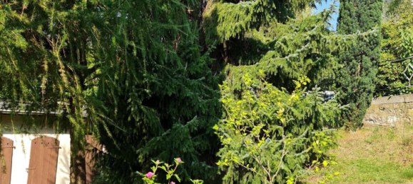 Edificio de 4 dormitorios en Chemnitz, Germany No. 45266 15