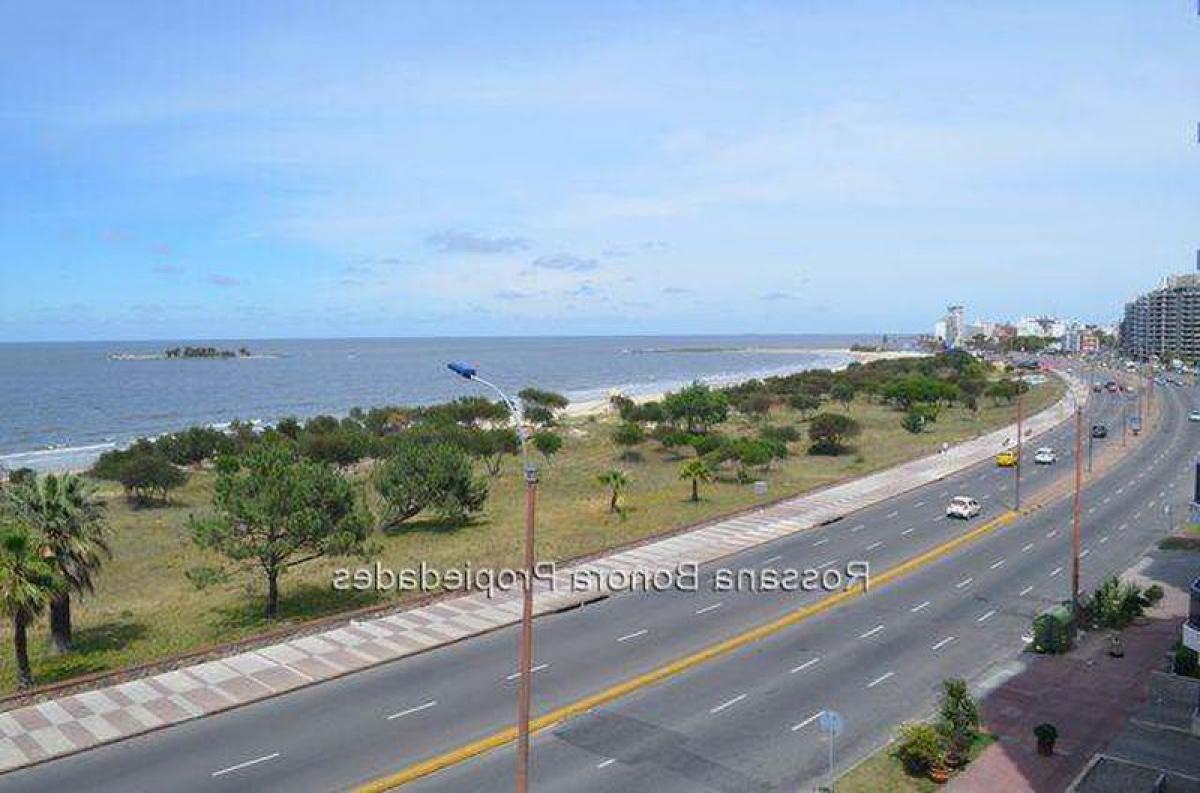 2 chambres Appartement à Montevideo, Uruguay No. 10220