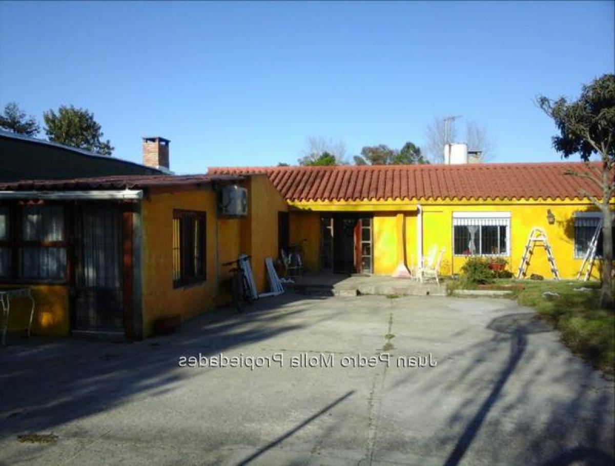 3 bedrooms House in Canelones, Uruguay No. 9553