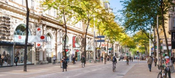 6 rooms Commercial property in Neubau, Austria No. 139886 8