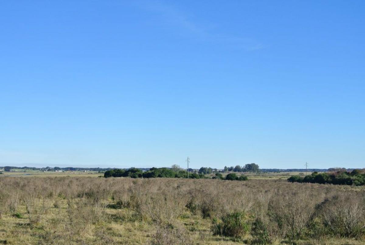  Farm in Maldonado, Uruguay No. 15807