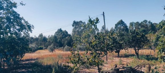 2 bedrooms House in Leiria, Portugal No. 173163 11