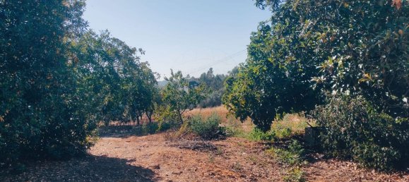 2 bedrooms House in Leiria, Portugal No. 173163 5