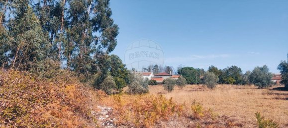 2 bedrooms House in Leiria, Portugal No. 173163 8