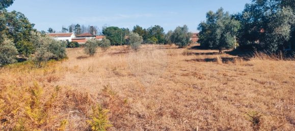 2 bedrooms House in Leiria, Portugal No. 173163 15