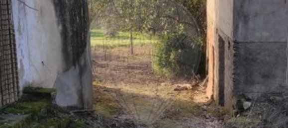 2 bedrooms House in Leiria, Portugal No. 173163 13