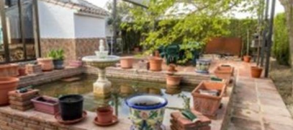 5 bedrooms House in Alora, Spain No. 72256 23