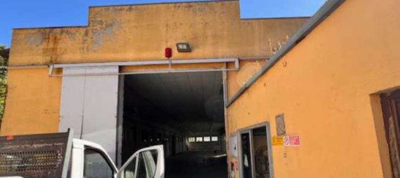 Büro in San Venanzo, Italy 966m², Nr. 295073 2