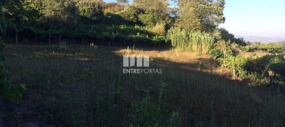 4900m² Land in Baiao, Portugal No. 50622 3