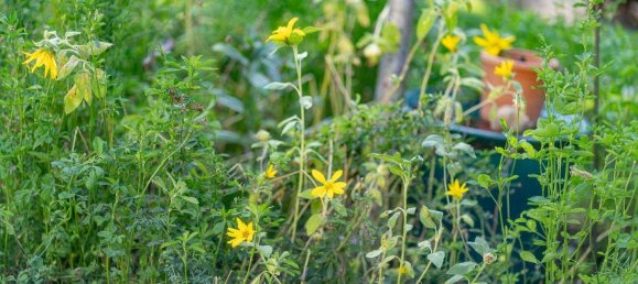 Таунхаус с 6 комнатами в Лизинг, Австрия № 241204 13