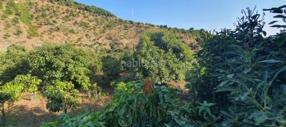 Casa T9 em Velez-Malaga, Spain N.º 144835 9