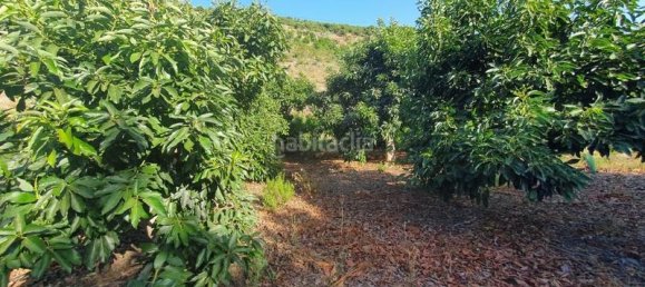 Casa T9 em Velez-Malaga, Spain N.º 144835 12