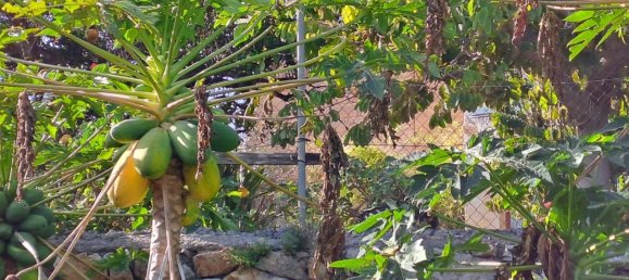 2 bedrooms House in Granada, Spain No. 186801 25